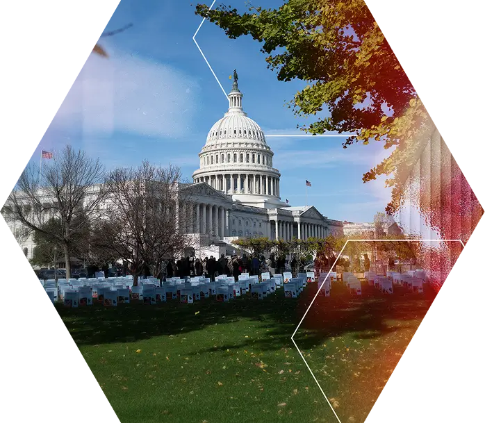 The U.S. Capitol building stands under a blue sky, with white signs arranged on the grass. The image features geometric patterns and color overlays on the right and left edges.