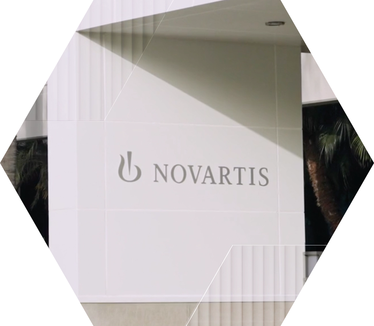 A white wall features the Novartis logo and name in gray lettering, partially framed by architectural elements and some shadows.