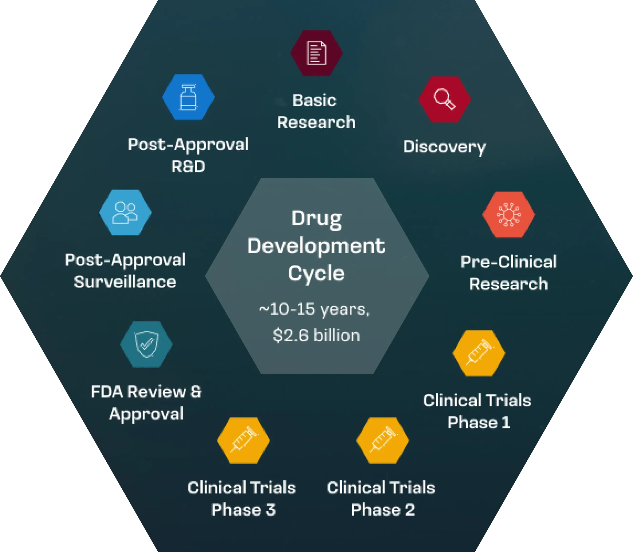 Hexagonal chart showing the drug development cycle: basic research, discovery, pre-clinical research, clinical trials phases 1-3, FDA review, post-approval surveillance, and post-approval R&D.